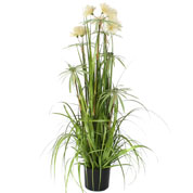 Artificial Plant - Variegated Grass Pom Pom - MICA